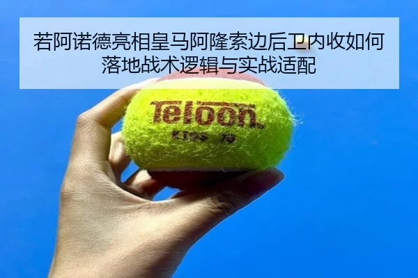 ruo-a-nuo-de-liang-xiang-huang-ma-a-long-suo-bian-hou-wei-nei-shou-ru-he-luo-di-zhan-shu-luo-ji-yu-shi-zhan-shi-pei-2-485.jpg