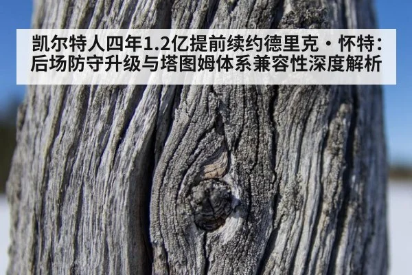 凯尔特人四年1.2亿提前续约德里克·怀特：后场防守升级与塔图姆体系兼容性深度解析