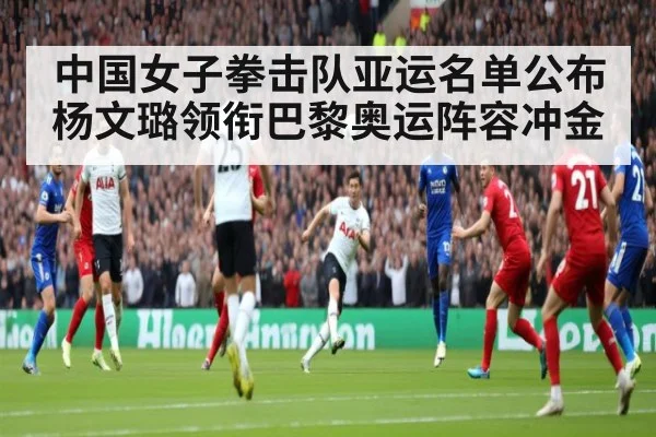 中国女子拳击队亚运名单公布 杨文璐领衔巴黎奥运阵容冲金